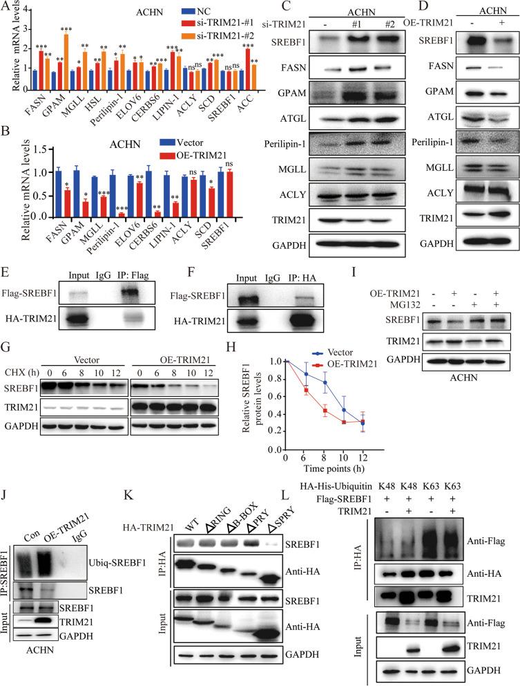 https://cdn.ncbi.nlm.nih.gov/pmc/blobs/d7fa/9875457/d9bd76d587b7/13046_2022_2583_Fig4_HTML.jpg