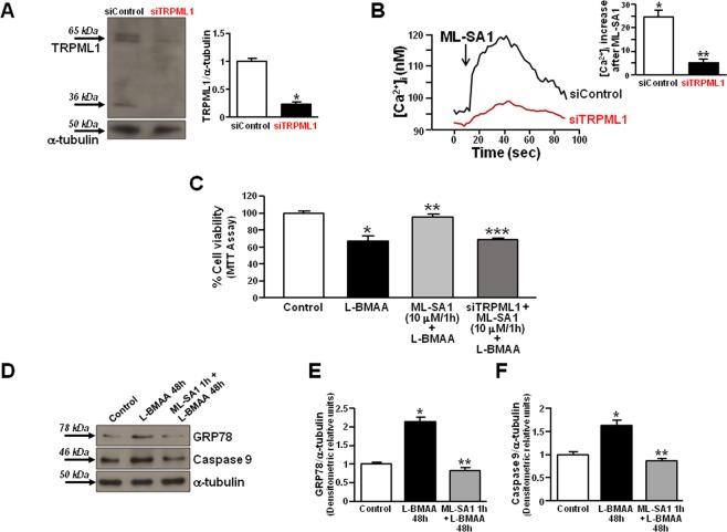 https://cdn.ncbi.nlm.nih.gov/pmc/blobs/d7fc/6656764/9869bbaa82c4/41598_2019_46708_Fig5_HTML.jpg