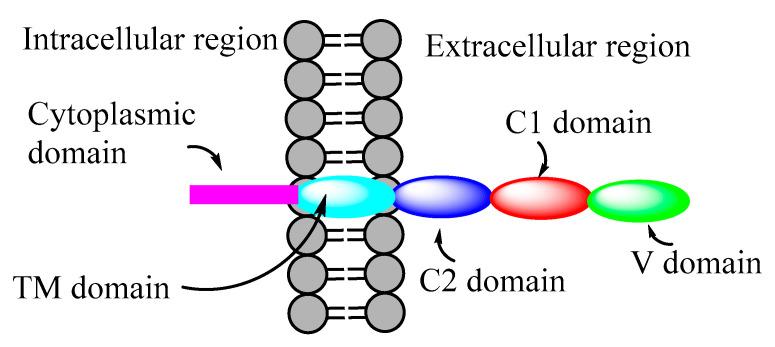 https://cdn.ncbi.nlm.nih.gov/pmc/blobs/d7fc/9501837/990ac3dd1d03/microorganisms-10-01848-g003.jpg