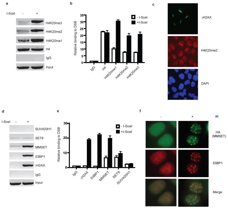https://cdn.ncbi.nlm.nih.gov/pmc/blobs/d7fd/3064261/338401dcc9c8/nihms251597f1.jpg