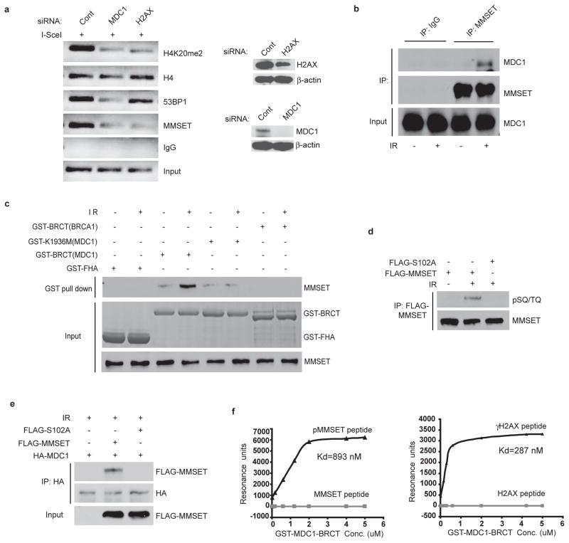 https://cdn.ncbi.nlm.nih.gov/pmc/blobs/d7fd/3064261/b23c58b18e89/nihms251597f3.jpg