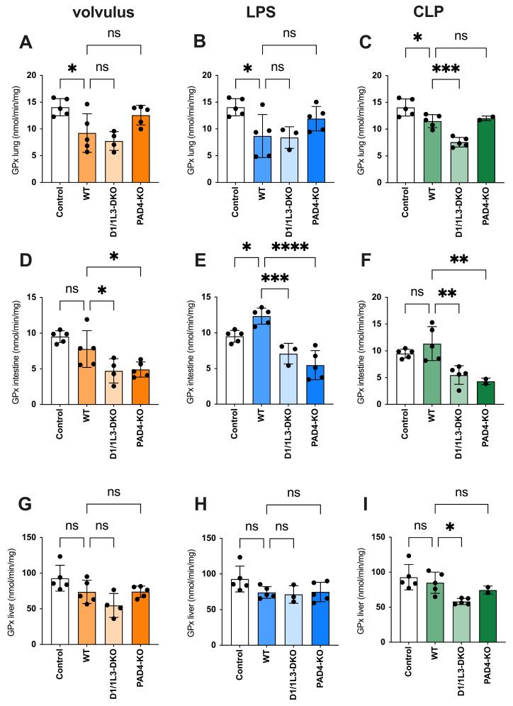 https://cdn.ncbi.nlm.nih.gov/pmc/blobs/d7fe/11011604/366db6edad8d/ijms-25-03787-g005.jpg