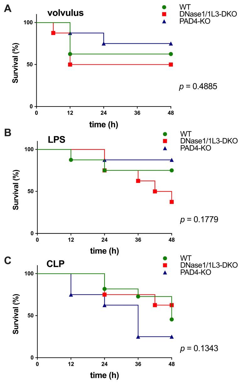 https://cdn.ncbi.nlm.nih.gov/pmc/blobs/d7fe/11011604/3f655b9df4ec/ijms-25-03787-g001.jpg
