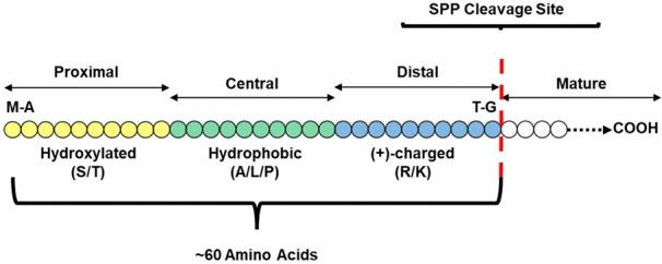 https://cdn.ncbi.nlm.nih.gov/pmc/blobs/d7ff/10063809/06d000fba86e/fgene-14-969931-g001.jpg