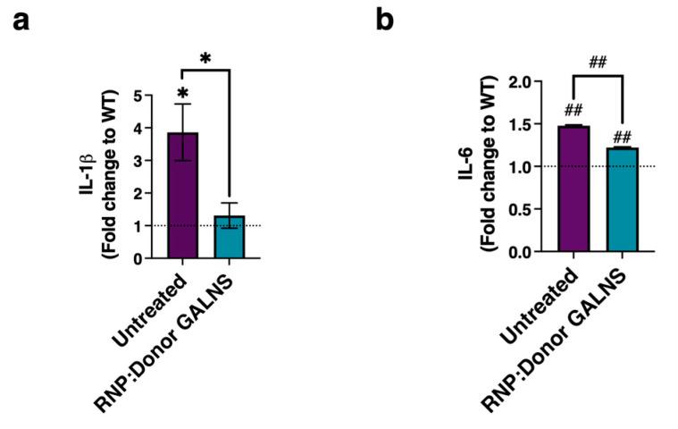 https://cdn.ncbi.nlm.nih.gov/pmc/blobs/d800/12072265/616469ecadb2/ijms-26-04334-g005.jpg