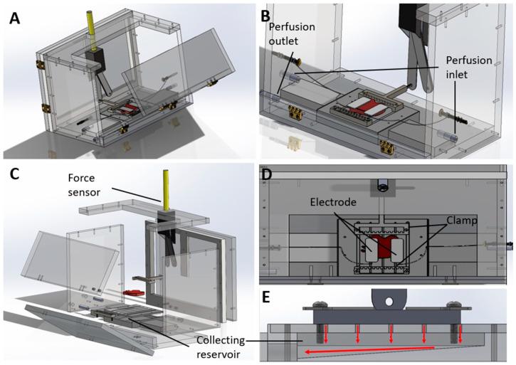 https://cdn.ncbi.nlm.nih.gov/pmc/blobs/d804/11047557/20044a40389e/bioengineering-11-00307-g002.jpg