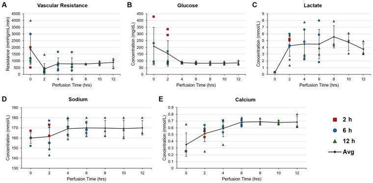 https://cdn.ncbi.nlm.nih.gov/pmc/blobs/d804/11047557/5a1b0ff599d2/bioengineering-11-00307-g004.jpg