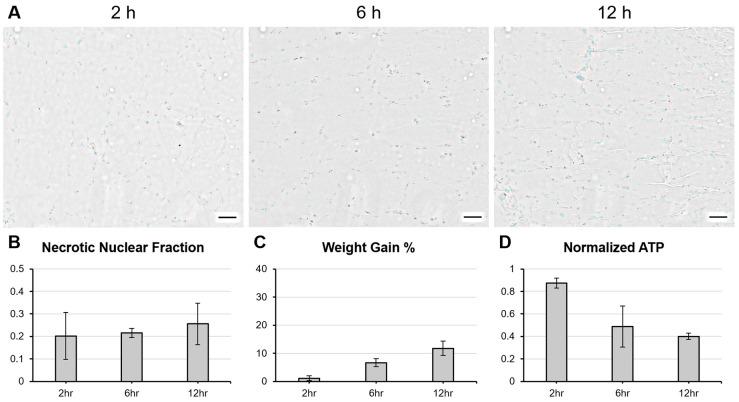 https://cdn.ncbi.nlm.nih.gov/pmc/blobs/d804/11047557/e691c6764309/bioengineering-11-00307-g005.jpg