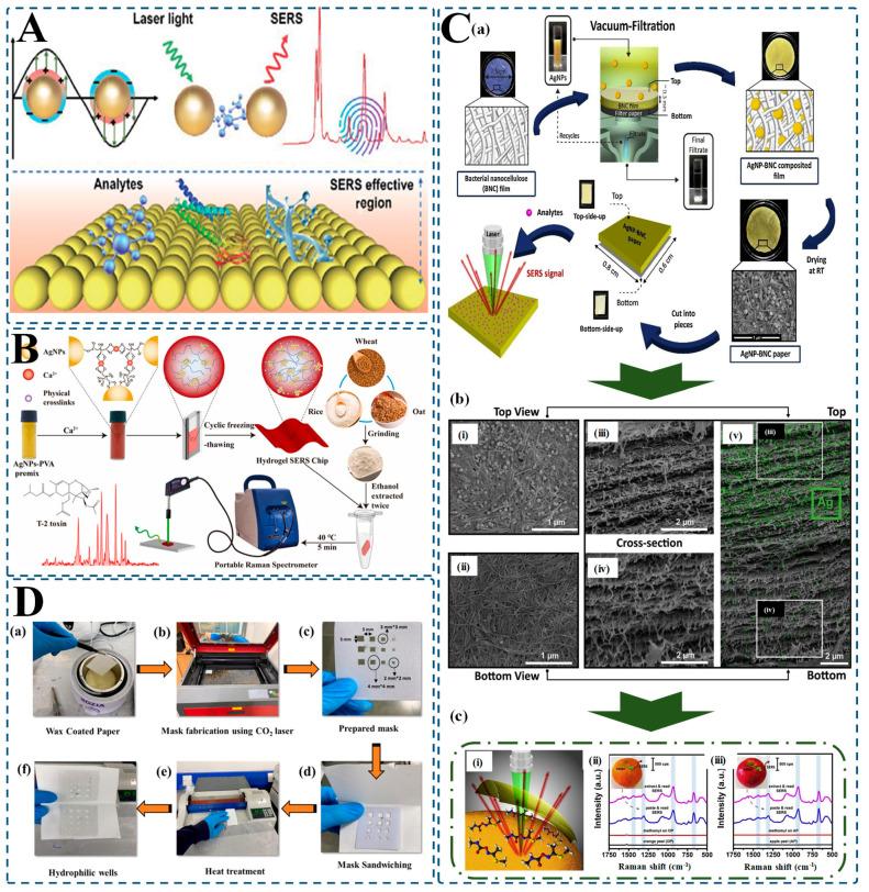 https://cdn.ncbi.nlm.nih.gov/pmc/blobs/d805/12190936/34ed3e50c020/biosensors-15-00363-g004.jpg