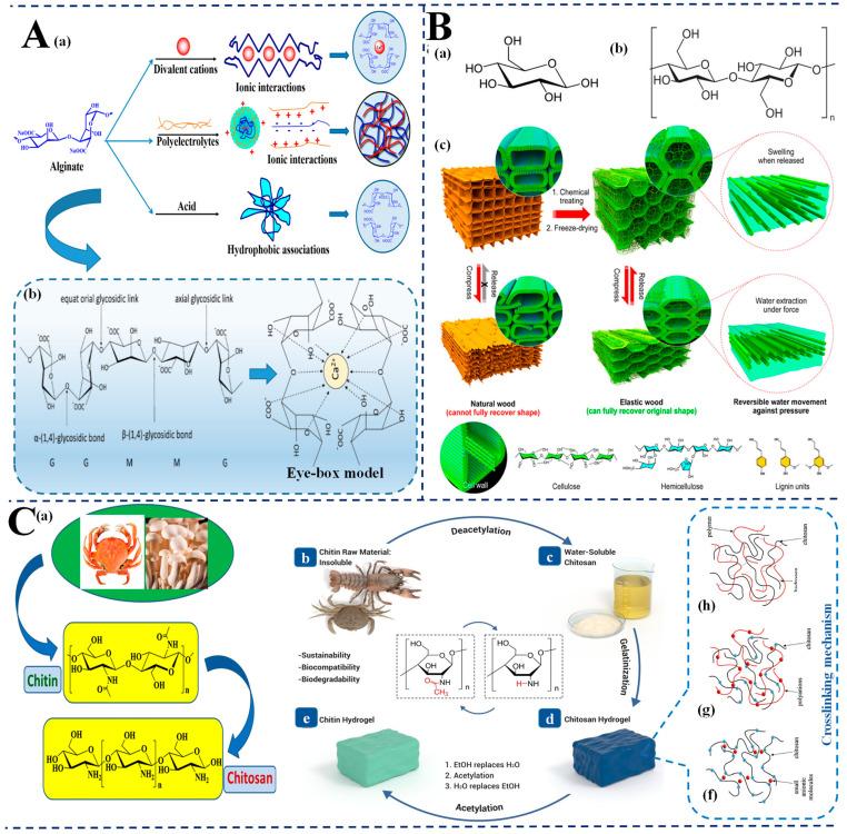 https://cdn.ncbi.nlm.nih.gov/pmc/blobs/d805/12190936/8dafc3179876/biosensors-15-00363-g002.jpg