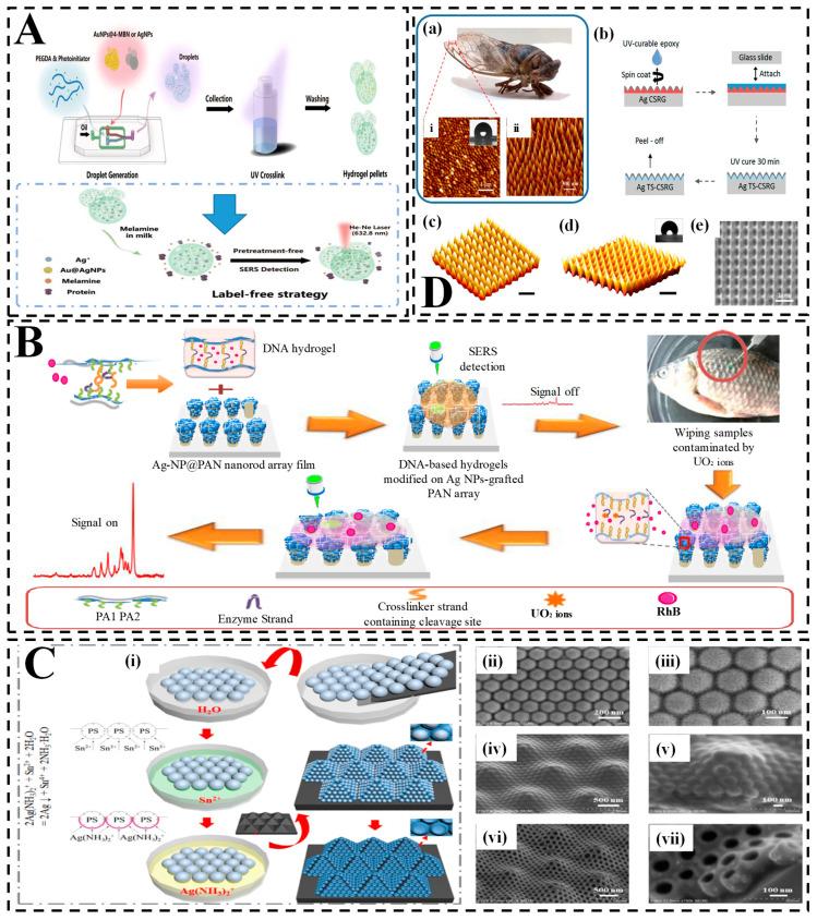 https://cdn.ncbi.nlm.nih.gov/pmc/blobs/d805/12190936/e8ab6165d1c6/biosensors-15-00363-g005.jpg