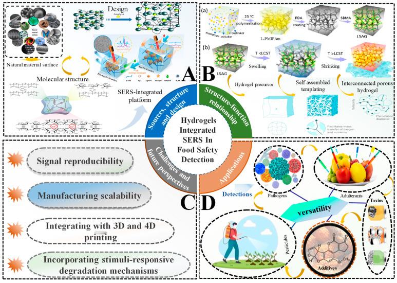 https://cdn.ncbi.nlm.nih.gov/pmc/blobs/d805/12190936/f5ee8fa8e1d1/biosensors-15-00363-g001.jpg