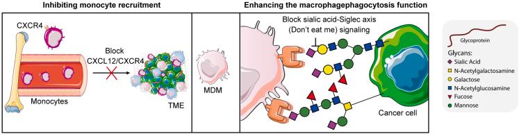 https://cdn.ncbi.nlm.nih.gov/pmc/blobs/d806/10507237/2608c8313a30/gr7.jpg