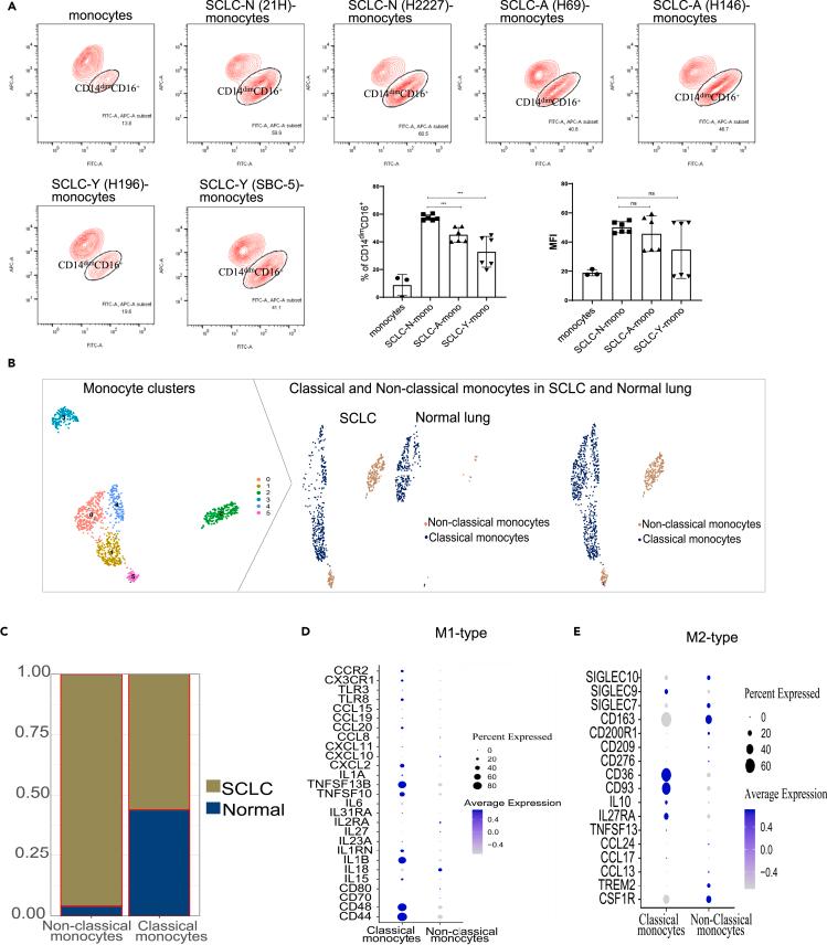 https://cdn.ncbi.nlm.nih.gov/pmc/blobs/d806/10507237/9d689b84206c/gr2.jpg
