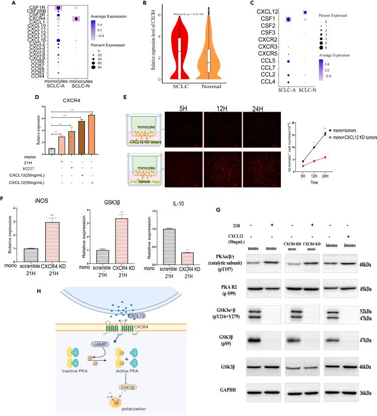 https://cdn.ncbi.nlm.nih.gov/pmc/blobs/d806/10507237/a830defb271a/gr3.jpg