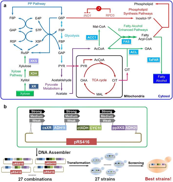 https://cdn.ncbi.nlm.nih.gov/pmc/blobs/d806/4736120/45eec26d5771/12934_2016_423_Fig1_HTML.jpg