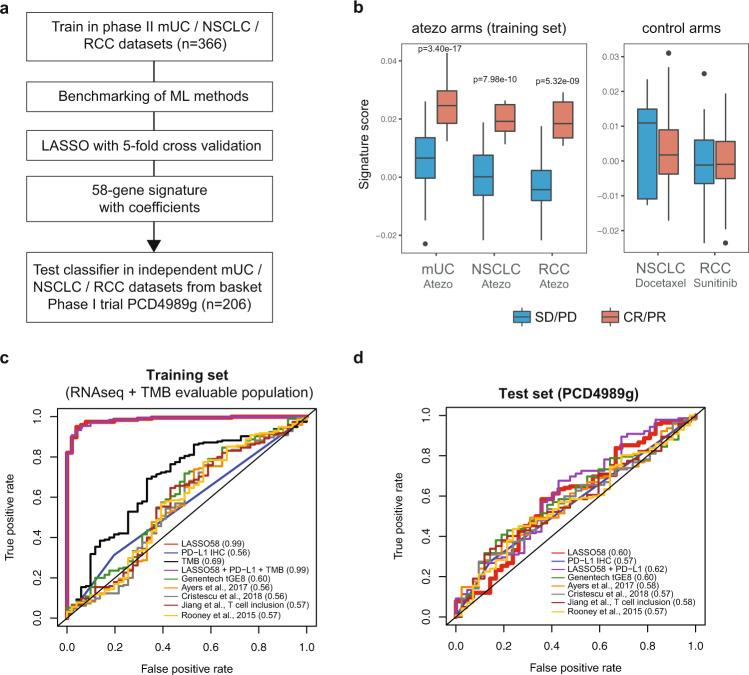 https://cdn.ncbi.nlm.nih.gov/pmc/blobs/d806/8233428/3aee333bd446/41467_2021_24112_Fig2_HTML.jpg
