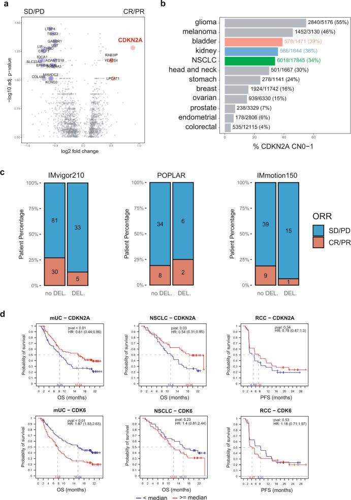 https://cdn.ncbi.nlm.nih.gov/pmc/blobs/d806/8233428/91c15262bf77/41467_2021_24112_Fig4_HTML.jpg