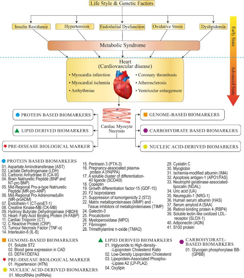https://cdn.ncbi.nlm.nih.gov/pmc/blobs/d806/9584006/7a783a77e9cd/43044_2022_317_Fig1_HTML.jpg