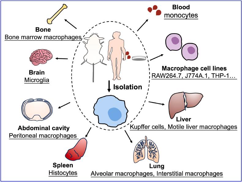 https://cdn.ncbi.nlm.nih.gov/pmc/blobs/d808/11061709/6e35f7340c71/gr2.jpg