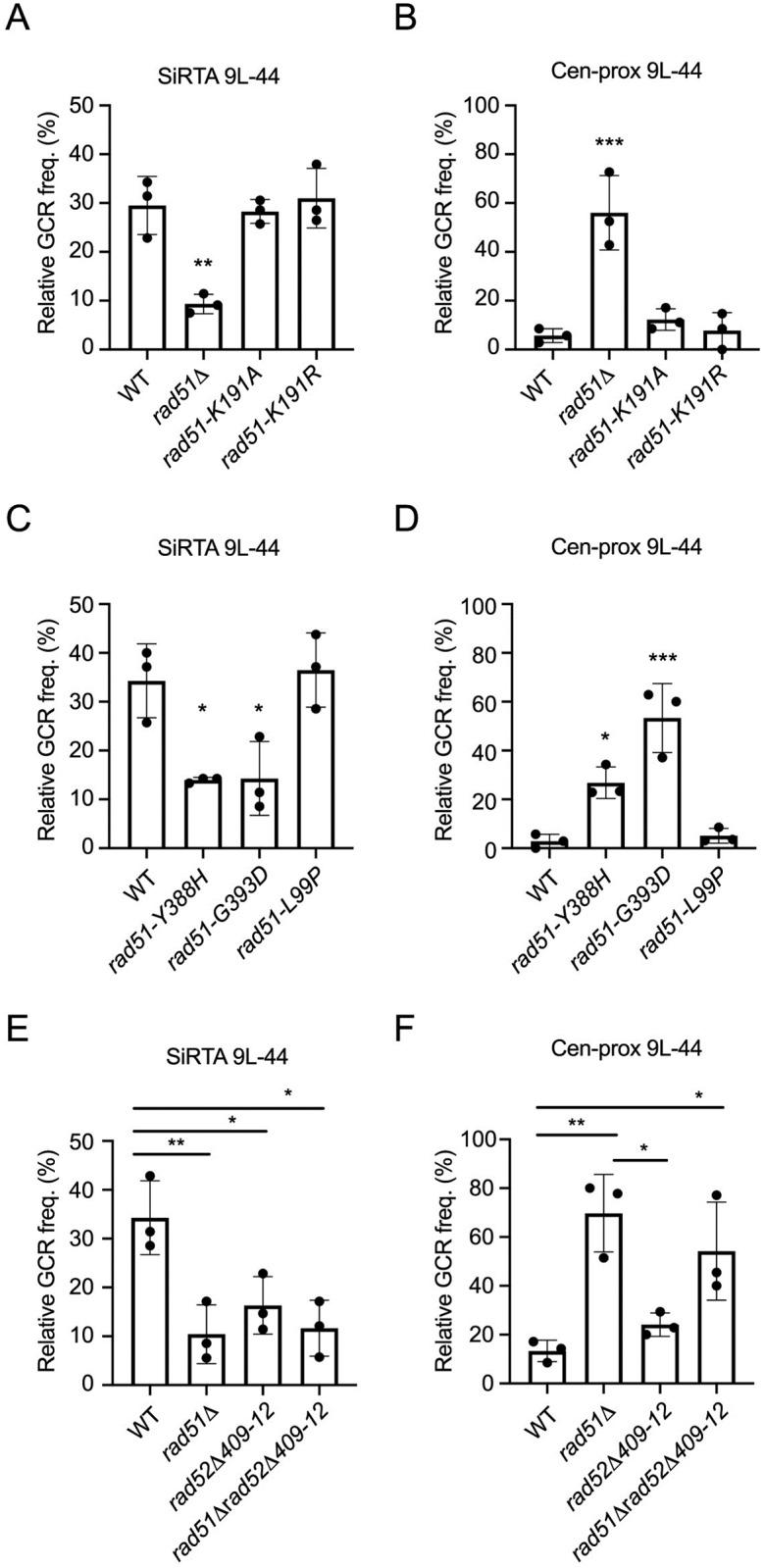 https://cdn.ncbi.nlm.nih.gov/pmc/blobs/d808/7018233/0aaa59435f12/pgen.1008608.g004.jpg