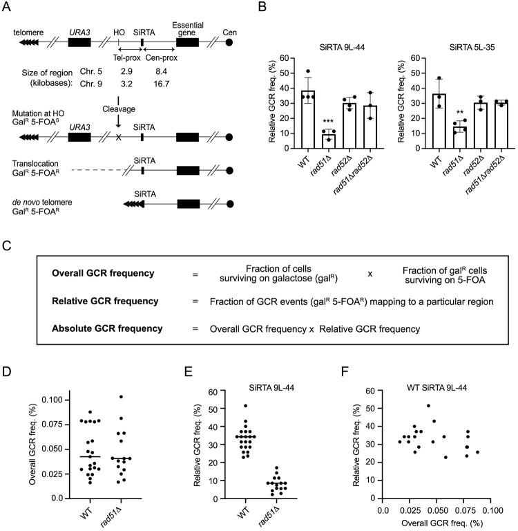https://cdn.ncbi.nlm.nih.gov/pmc/blobs/d808/7018233/78330c1416e4/pgen.1008608.g001.jpg