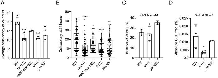 https://cdn.ncbi.nlm.nih.gov/pmc/blobs/d808/7018233/e77bca67b79f/pgen.1008608.g005.jpg