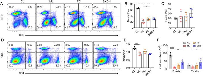 https://cdn.ncbi.nlm.nih.gov/pmc/blobs/d80a/12055854/85d11dc1e488/fphar-16-1565451-g003.jpg