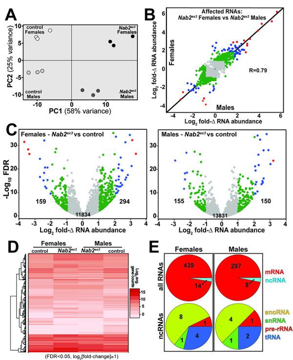 https://cdn.ncbi.nlm.nih.gov/pmc/blobs/d80b/10351920/5211cb690f31/elife-64904-fig1.jpg