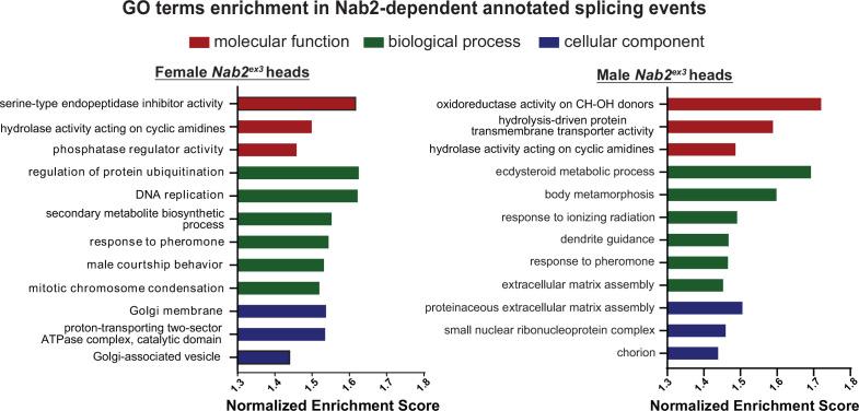 https://cdn.ncbi.nlm.nih.gov/pmc/blobs/d80b/10351920/cc4196138276/elife-64904-fig2-figsupp1.jpg