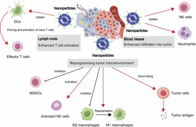 https://cdn.ncbi.nlm.nih.gov/pmc/blobs/d80b/11491057/44592675c7bc/41392_2024_1979_Fig8_HTML.jpg