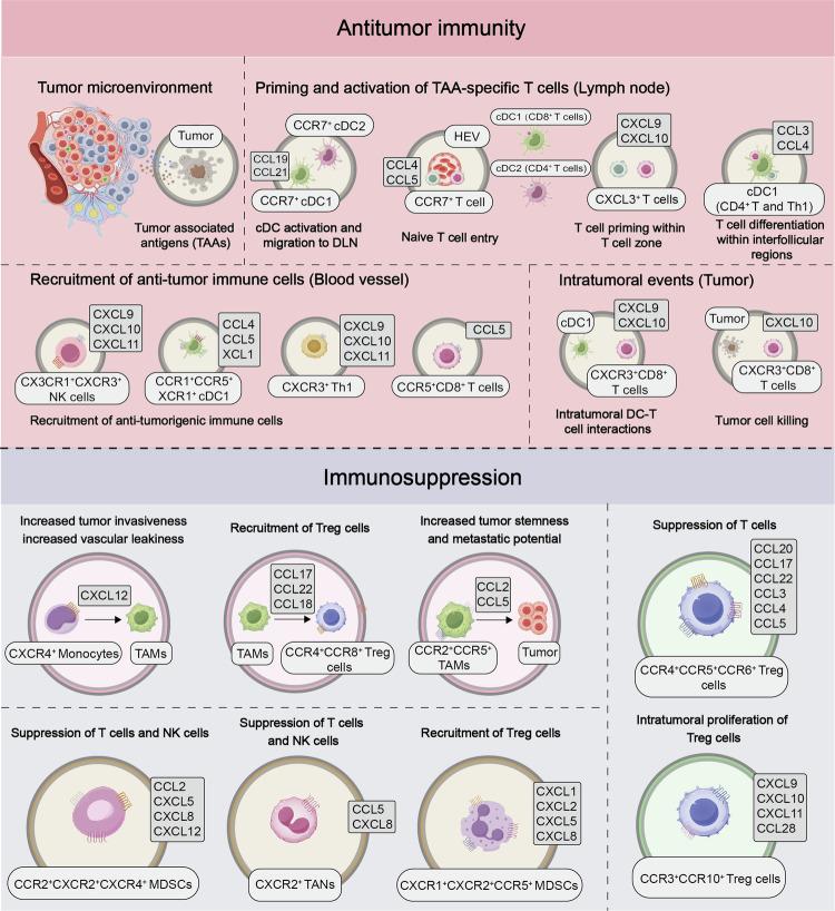 https://cdn.ncbi.nlm.nih.gov/pmc/blobs/d80b/11491057/6d9ffa6c5eab/41392_2024_1979_Fig6_HTML.jpg