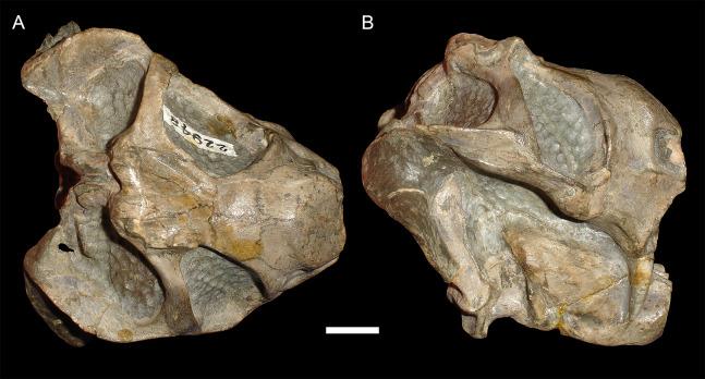 https://cdn.ncbi.nlm.nih.gov/pmc/blobs/d80c/7547620/e62402fdb90d/peerj-08-9925-g004.jpg