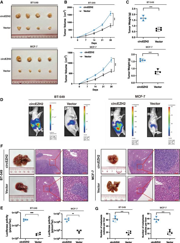 https://cdn.ncbi.nlm.nih.gov/pmc/blobs/d80c/9555172/7fbd739bdf45/12943_2022_1653_Fig3_HTML.jpg
