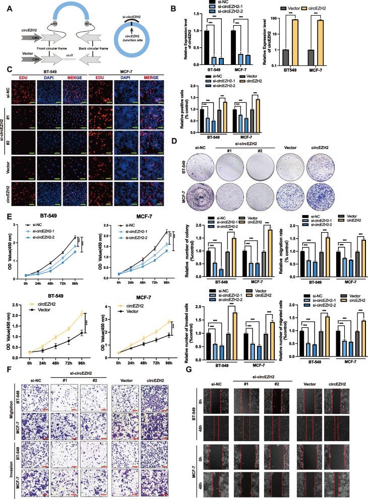 https://cdn.ncbi.nlm.nih.gov/pmc/blobs/d80c/9555172/b73852a61eac/12943_2022_1653_Fig2_HTML.jpg