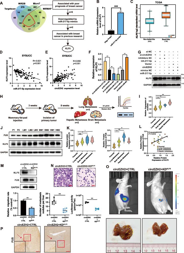 https://cdn.ncbi.nlm.nih.gov/pmc/blobs/d80c/9555172/b95b361d3628/12943_2022_1653_Fig6_HTML.jpg