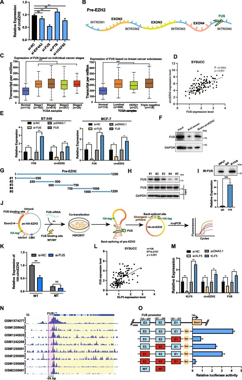 https://cdn.ncbi.nlm.nih.gov/pmc/blobs/d80c/9555172/c9187349b351/12943_2022_1653_Fig4_HTML.jpg