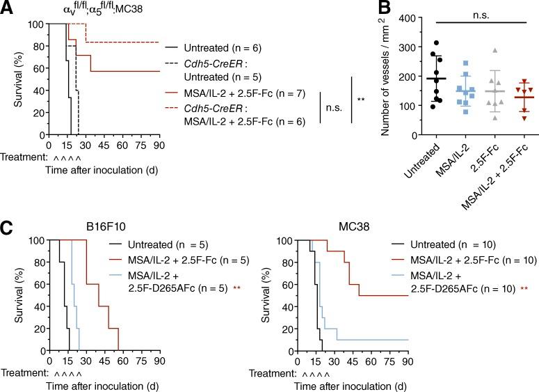 https://cdn.ncbi.nlm.nih.gov/pmc/blobs/d80e/5460993/4649ab2d7535/JEM_20160831_Fig4.jpg