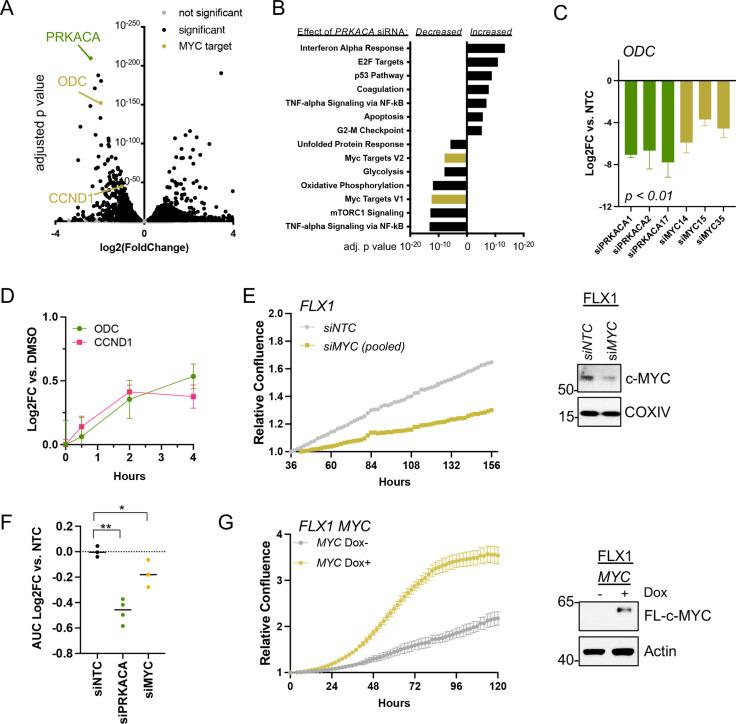 https://cdn.ncbi.nlm.nih.gov/pmc/blobs/d80e/9925115/e2f49947d885/elife-69521-fig4.jpg