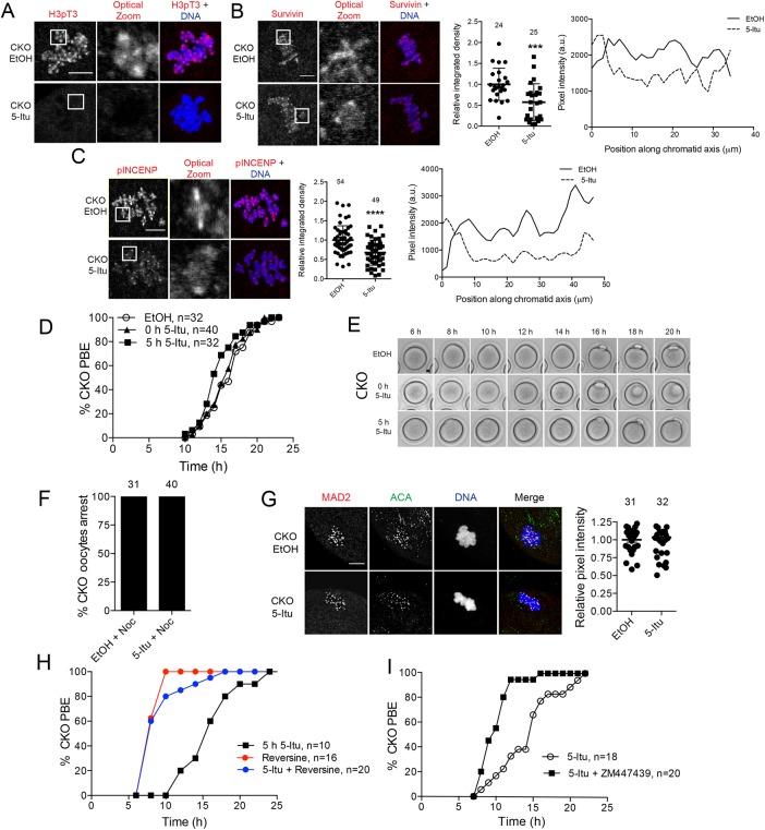 https://cdn.ncbi.nlm.nih.gov/pmc/blobs/d810/5555651/a999470a278f/2233fig4.jpg