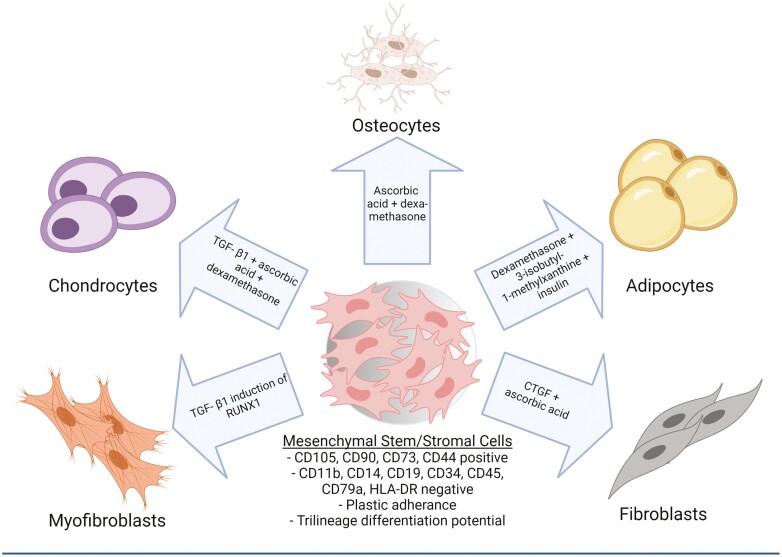 https://cdn.ncbi.nlm.nih.gov/pmc/blobs/d810/9406606/0924ac3d0b31/sxac036f0001.jpg