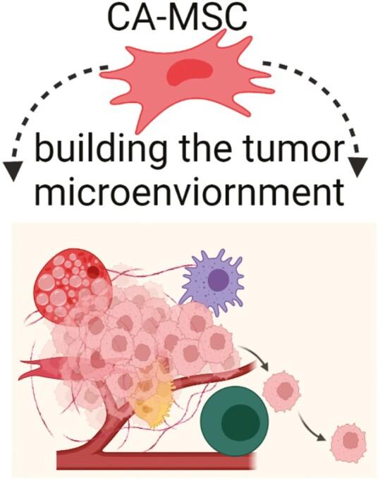 https://cdn.ncbi.nlm.nih.gov/pmc/blobs/d810/9406606/17f8bd4e4c57/sxac036f0004.jpg