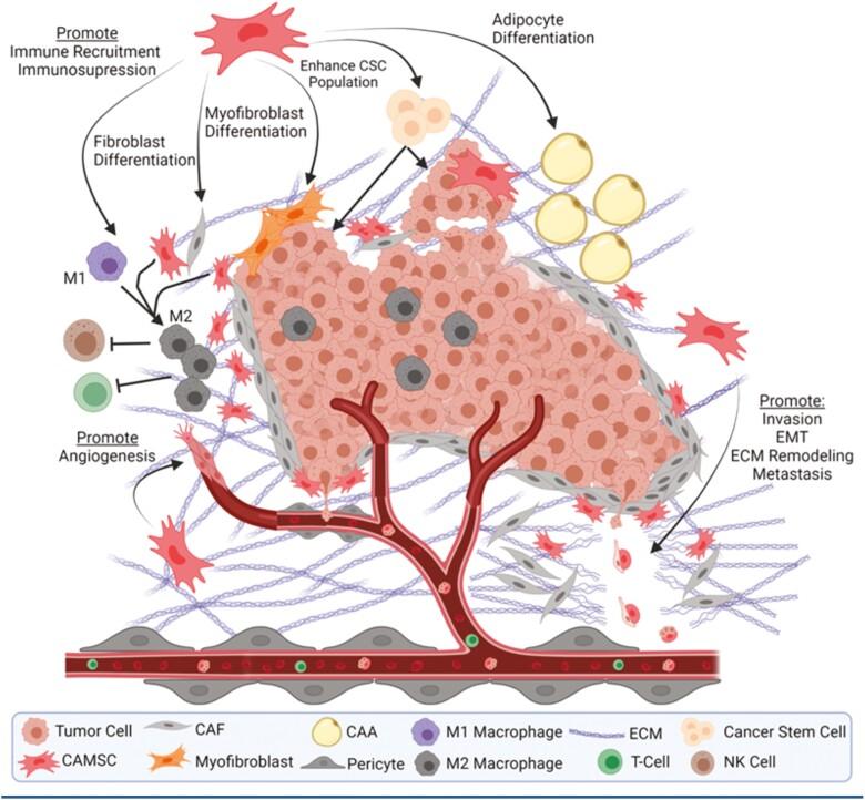 https://cdn.ncbi.nlm.nih.gov/pmc/blobs/d810/9406606/1fcf312a5479/sxac036f0003.jpg
