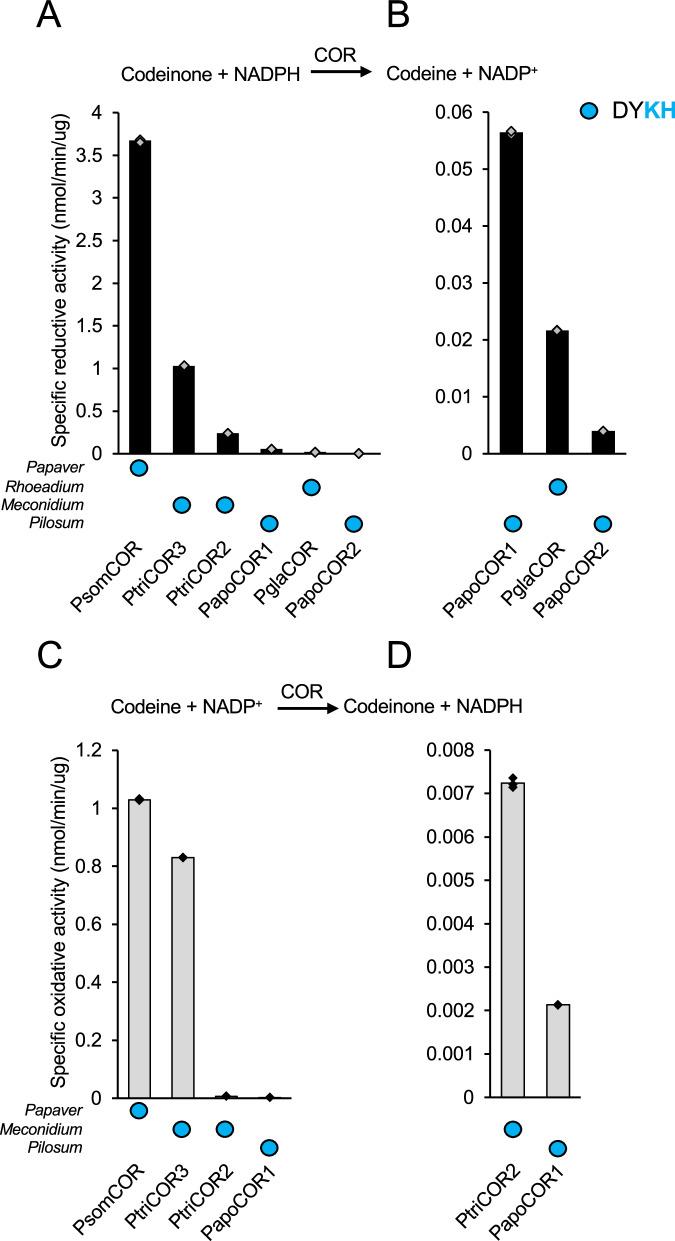 https://cdn.ncbi.nlm.nih.gov/pmc/blobs/d815/11522673/0318f7737e1d/42003_2024_7100_Fig5_HTML.jpg