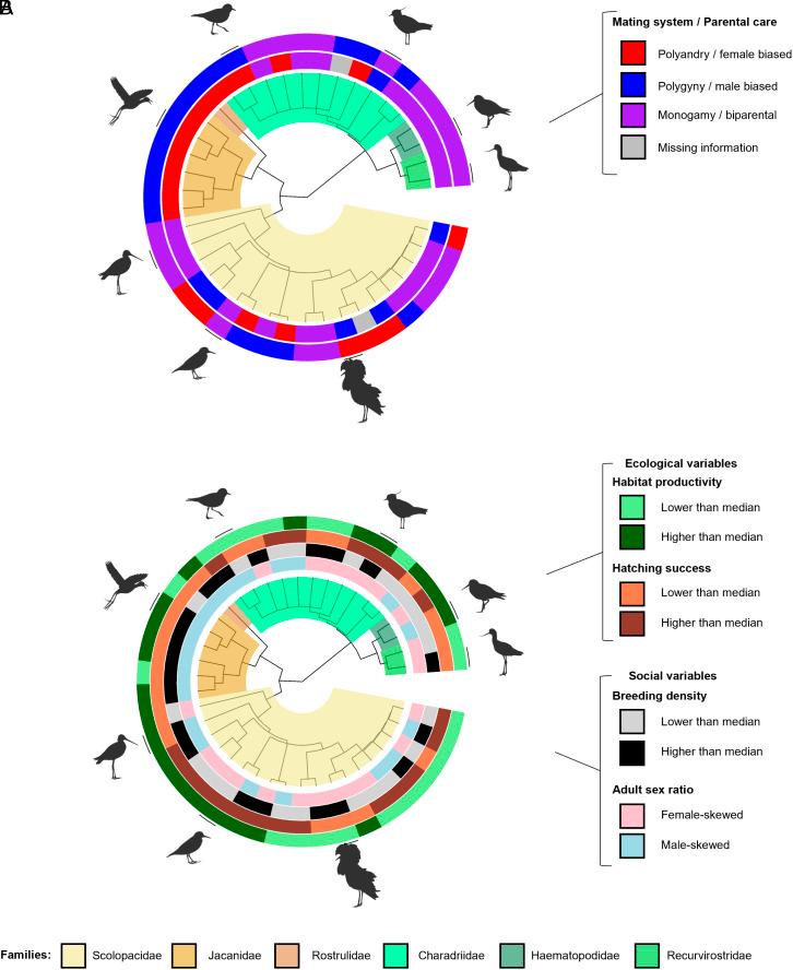 https://cdn.ncbi.nlm.nih.gov/pmc/blobs/d819/11145285/15e9691940cc/pnas.2321294121fig01.jpg