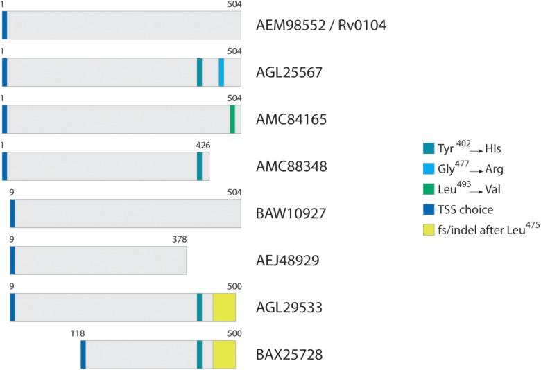 https://cdn.ncbi.nlm.nih.gov/pmc/blobs/d81a/6596428/09a2857176ee/fmicb-10-01410-g002.jpg