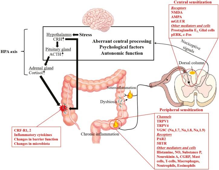 https://cdn.ncbi.nlm.nih.gov/pmc/blobs/d81b/9802269/46b7c8bde7e5/otab073_fig1.jpg