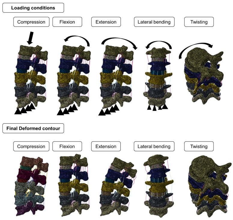 https://cdn.ncbi.nlm.nih.gov/pmc/blobs/d81d/9312902/2591c5c0d2d9/biomedicines-10-01567-g004.jpg
