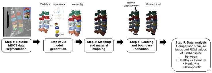 https://cdn.ncbi.nlm.nih.gov/pmc/blobs/d81d/9312902/292e742d55ef/biomedicines-10-01567-g001.jpg