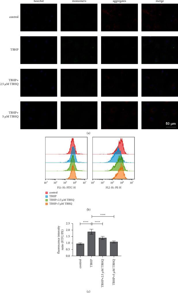 https://cdn.ncbi.nlm.nih.gov/pmc/blobs/d820/8674040/22cd248f3272/ECAM2021-1905995.003.jpg